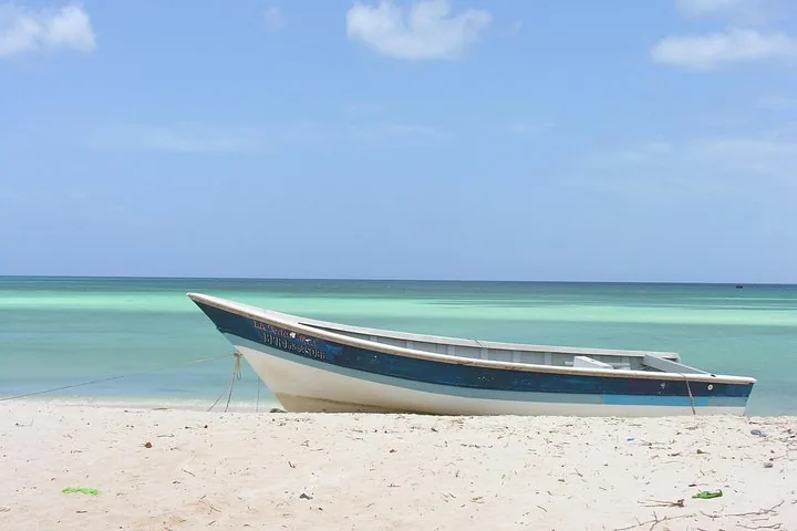 Small blue and white boat resting on a white sand beach.