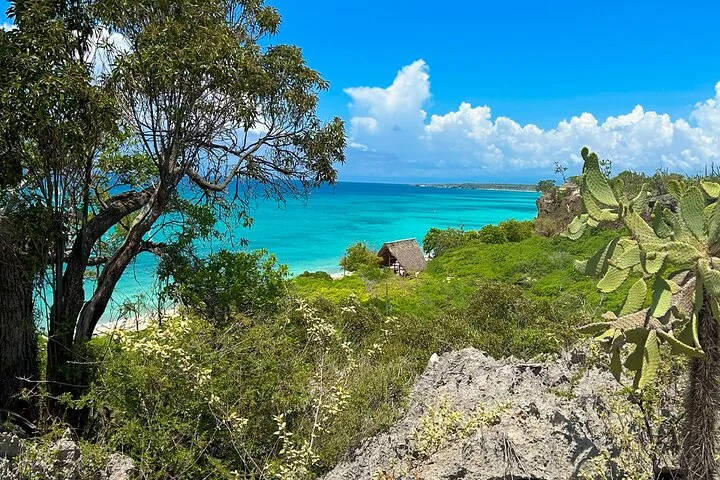 Üppige Vegetation und Kakteen mit Blick auf einen türkisfarbenen Strand und eine kleine Hütte.